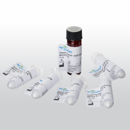 酵母細(xì)胞周期檢測(cè)試劑盒Yeast Control? - Cell Cycle