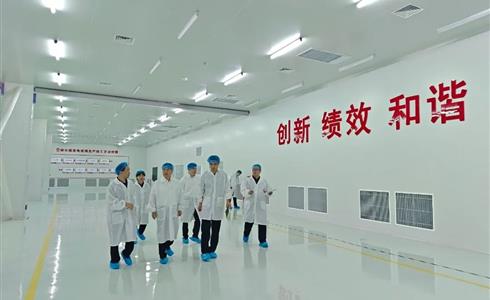 扎實(shí)開(kāi)展“雷霆行動(dòng)” 筑牢安全生產(chǎn)防線 | 凱盛玻璃控股開(kāi)展節(jié)前安全生產(chǎn)大檢查